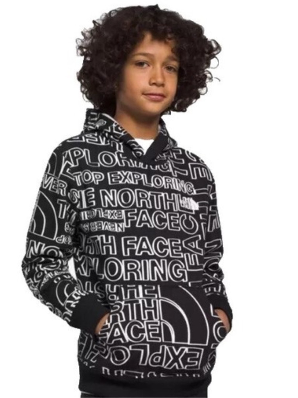 The north face never stop exploring hoodie